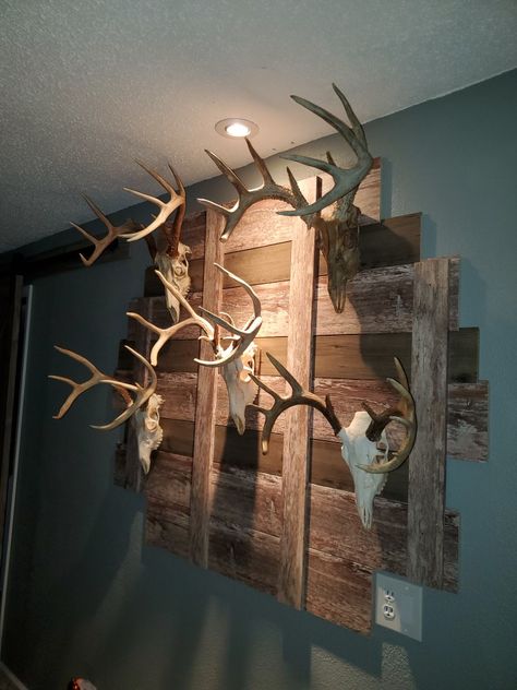 Made this out of shiplap Decorating With Hunting Mounts, Man Cave Deer Mounts, Deer Head Display Ideas, European Mount Ideas Rustic, Deer Mount Display, Deer Mount Wall Arrangement Living Room, Deer Skull Cap Mount Ideas, Bear Skull Mount, Deer Skull Mount Display