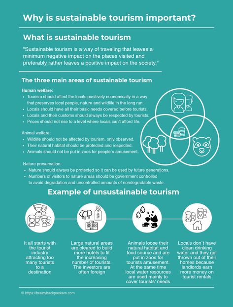 Sustainable tourism is more important than ever. This post goes through the reasons and what you can do to travel more sustainably. Business Entrepreneur Startups, Tourism Management, Ethical Travel, Tourism Marketing, Tourism Development, Responsible Tourism, Tourism Poster, Eco Travel, Sustainable Tourism