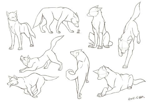 Dog Face Drawing, Wolf Poses, Dog Design Art, Wolf Sketch, Wolf Drawings, Canine Drawing, Animal Poses, Dog Poses, Wolf Drawing