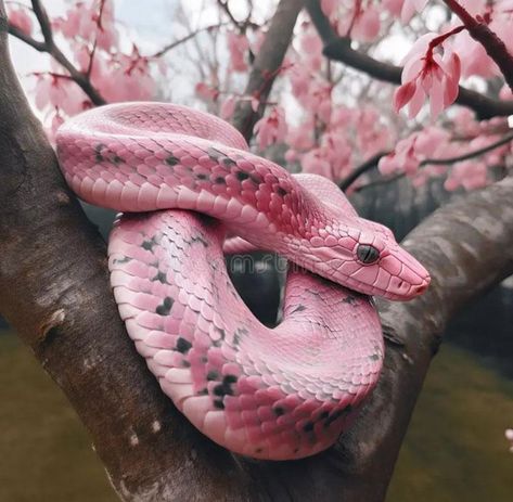 Killing a pink snake: This could represent your ability to overcome challenges and obstacles in your life. It could also symbolize your desire to rid yourself of negative thoughts or behaviors. Dreaming of a pink snake shedding its skin: This could be a sign of personal growth and transformation. It could also symbolize leaving behind old habits or beliefs and embracin - https://impeccablenestdesign.com/dream-meanings/pink-snake-dream-meaning/ Snake Dream Meaning, Snake Meaning, Snake Pink, Snake Shedding, Pretty Snakes, Colorful Snakes, Dream Meaning, Scary Animals, Cold Blooded