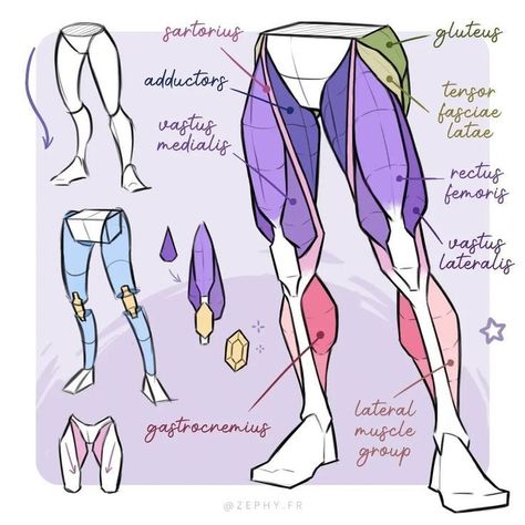 Leg Anatomy, Anatomy Tutorial, Human Anatomy Drawing, Human Anatomy Art, Anatomy Sketches, Body Reference Drawing, Anatomy For Artists, 캐릭터 드로잉, Body Anatomy