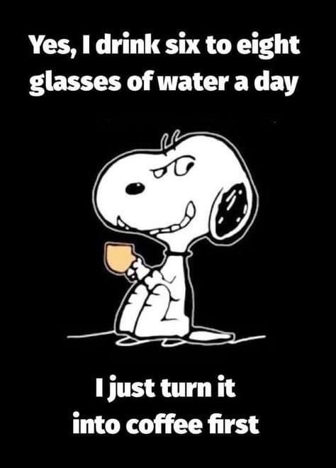 Humour, Snoopy, Cute Coffee Quotes, Goodnight Snoopy, Peanuts Quotes, Coffee Lover Humor, Coffee Jokes, High Jokes, Mom Poems