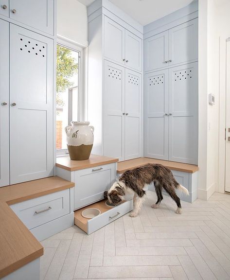 Built-in – Benjamin Moore: Silver Cloud 2129-70 Herringbone Tile Floors, Pet Feeding Station, Dog Feeding Station, Dog Washing Station, Mudroom Laundry Room, Mudroom Design, Dog Rooms, Up House, Laundry Mud Room