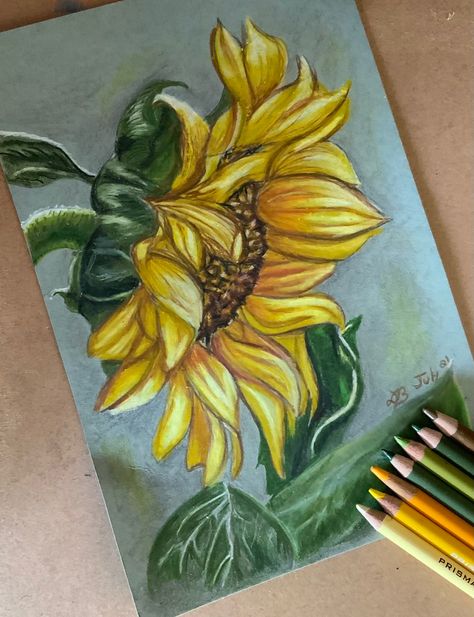 Sunflower Colored Pencil Drawing, Colored Pencil Sunflower, Flowers Drawing Pencil, Christmas Canvas Painting, Beginners Canvas Painting, Colored Pencil Artwork Ideas, Easy Canvas Painting Ideas, Painted Sunflowers, Buddha Painting Canvas