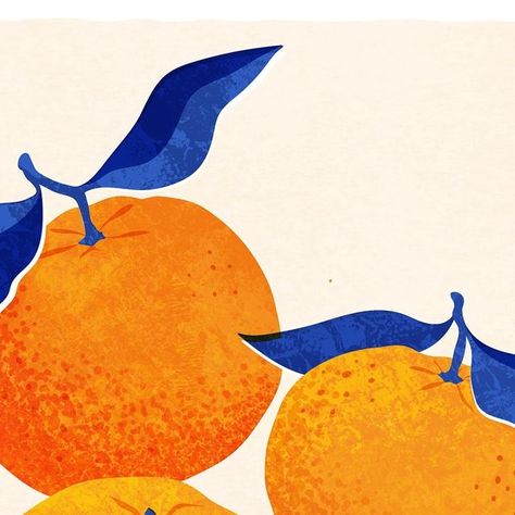 Rebecca Hollingsworth on Instagram: "🍊🍊🍊

Loving this colour combo! 💙🧡

Hope you’re all having a lovely weekend! ☀️ 
.
.
.
.
.
. 
©️ @rh_illustration 
#drawing #foodillustration #illustration #designer #illustrator #foodillustrator #womenillustrators #illustrationoftheday #texture  #fruit #femaleillustrator #orangeillustration #illustrated_now #fruitillustration #picame #womenofillustration #orange #clementine #tangerine #illustrationartist #printandpattern #spring #tempuradesign #dailychallenge #weareillustration #colour #illustration_daily #foodillustrations #digitalillustration #theydrawandcook" Tangerine Drawing, Orange Fruit Illustration, Colour Illustration, Orange Texture, Have A Lovely Weekend, Fruit Illustration, Colour Combo, Daily Challenges, Orange Fruit