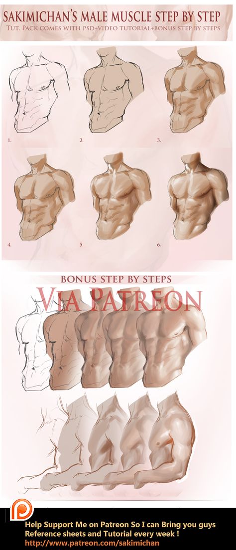 Male Muscle, Anatomy Tutorial, Human Anatomy Drawing, Anatomy Sketches, Gambar Figur, Beast Boy, Coloring Tutorial, Anatomy Drawing, Body Drawing