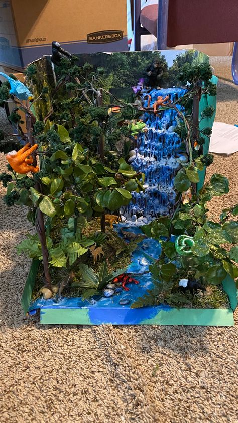 Sloth Habitat Diorama, Tropical Rainforest Ecosystem Project, Aquatic Biome Project, Nature Diorama Ideas, Rainforest Diaroma Ideas, Coniferous Forest Biome Project, Fresh Water Biome Project Ideas, Rain Forest Biome Project, Ecosystems Projects Shoebox Ocean