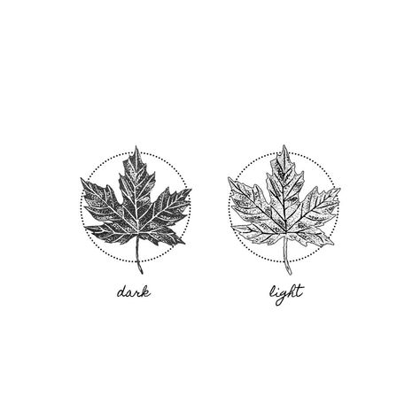 Maple Leaf Tattoo Design, Maple Leaves Tattoo, Autumn Tattoo Ideas, Autumn Leaves Tattoo, Fall Inspired Tattoos, Maple Tree Tattoo, Maple Tattoo, Leaves Tattoo Design, Maple Leaf Tattoos