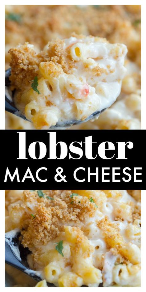 Lobster Mac N Cheese Recipe, Homemade Macaroni And Cheese, Seafood Mac And Cheese, Recipes With Ingredients, Lobster Mac, Lobster Mac And Cheese, Macaroni Recipes, Lobster Recipes, Macaroni Cheese