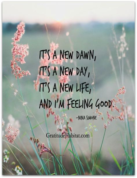 wp-1465145272043 Its A New Day, New Day Quotes, It's A New Day, Now Quotes, Happiness Is A Choice, Life Quotes Love, Feel Good Quotes, Quotes Inspirational Positive, Feeling Good