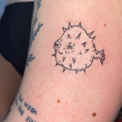 Funny Creative Tattoos, Animal Cracker Tattoo, Funny Animal Tattoos Simple, Weird Cute Tattoos, Weird Animal Tattoos, Pillbug Tattoo, Funny Tattoos Ideas, Bizarre Tattoos, School Of Fish Tattoo