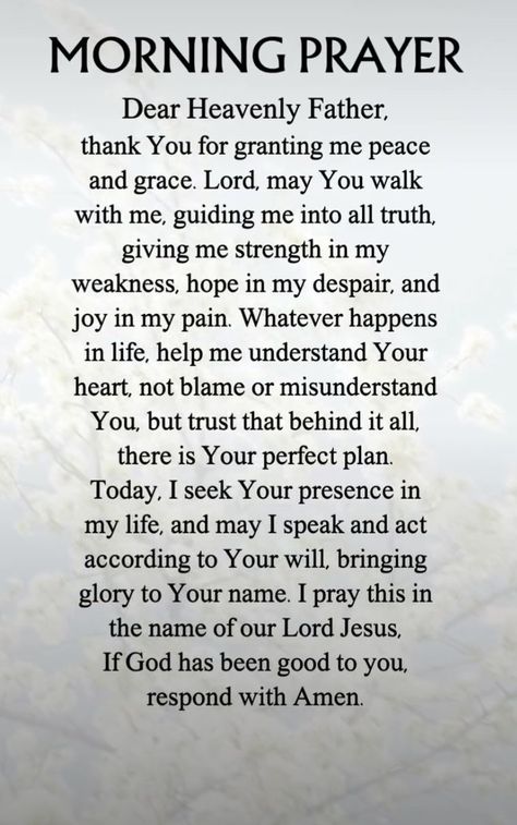 Saturday Prayers, 2024 Prayers, Good Morning Saturday Wishes, Sister Circle, Healing Prayers, Healing Prayer, Morning Prayer Quotes, Daily Devotion, Prayer For The Day