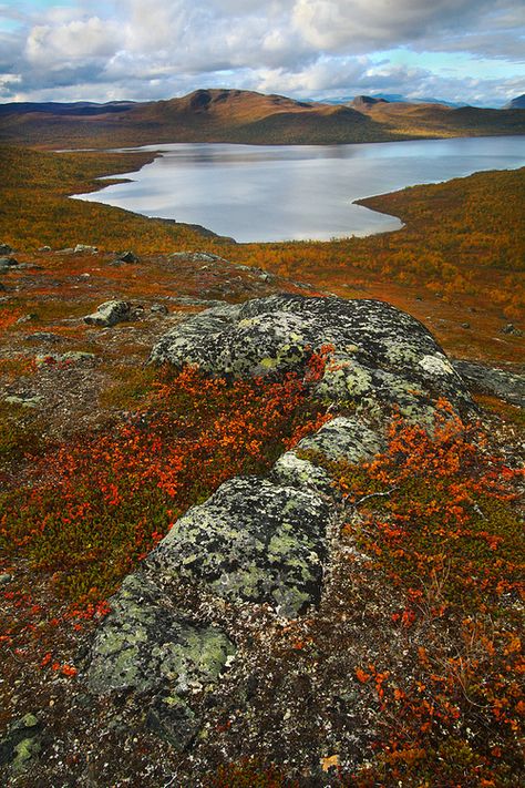 arctic tundra Finnish Lapland, Arctic Tundra, Lapland Finland, Location Inspiration, Garden Photography, Long Trips, Urban Life, Sunset Pictures, Colorful Landscape