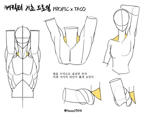 Collar Bone Art Reference, Taco 1704, Proportion Study, Anatomy Tutorial, Human Anatomy Drawing, Body Drawing Tutorial, Human Anatomy Art, Anatomy Sketches, Midi Dress Plus Size