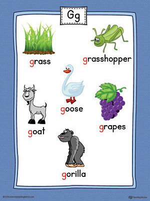 Letter G Word List with Illustrations Printable Poster (Color) Worksheet.Use the Letter G Word List with Illustrations Printable Poster to play letter sound activities or display on a classroom wall. G Sound Words, G Letter Worksheet, G Sound Activities, G Sound Worksheet, Letter G Pictures, G Letter Words, G Words For Kids, Sound Pictures, Beginning Letter Sounds