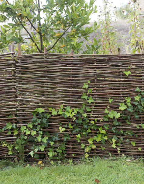 woven-fence-ben-pentreath-matthew-williamsdsc-6183 Wattle Fence, Willow Fence, Diy Garden Fence, Natural Fence, Walled Garden, Fence Landscaping, Family Garden, Wooden Fence, Wedding Rustic