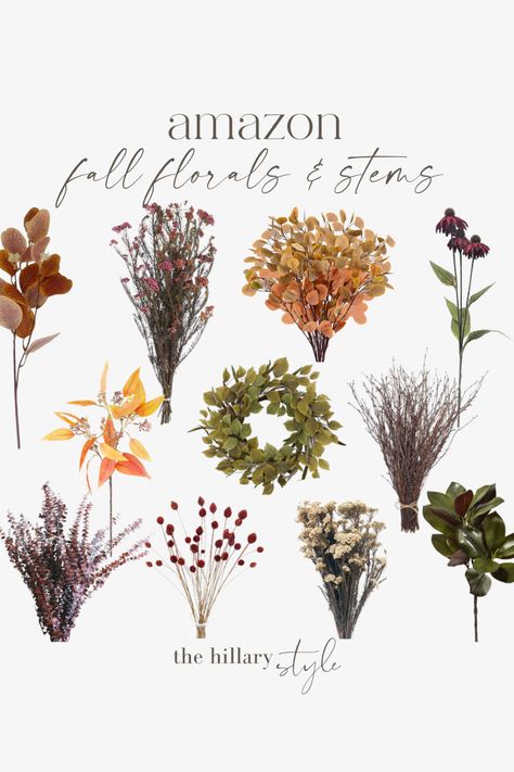 Shop Afloral Frosted Red Preserved … and other curated products on LTK, the easiest way to shop everything from your favorite creators. Fall Branches, Amazon Fall Decor, Faux Stems, Faux Branches, Fall Stem, Clear Vase, Dried Florals, Amazon Decor, Fall Florals