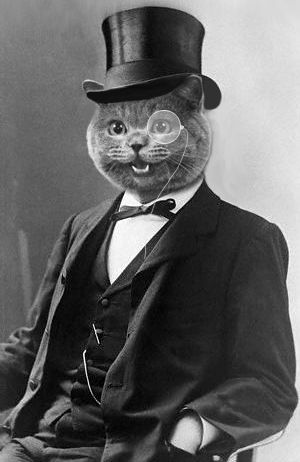 Cat People, Animal Heads, Happy Cat, Vintage Cat, Cats Meow, Top Hat, Cat Photo, Crazy Cats, Cool Cats