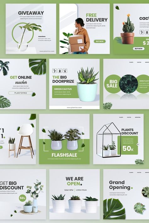 Improve your House Plants Business with fresh and consistent social media design, see the full portfolio, click the link on the title! Media Branding Design, Social Media Branding Design, Email Template Design, Social Templates, Newsletter Template, Social Media Post Design, Plant Shop, Social Media Poster, Modern Logo Design