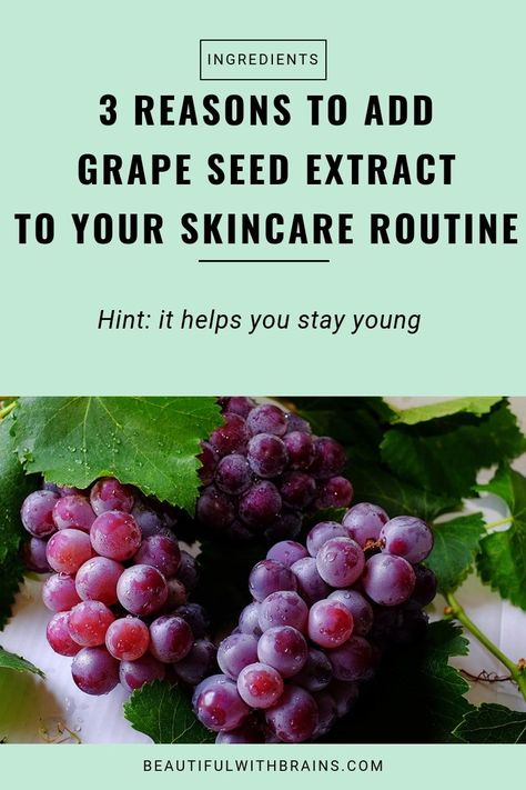 Three reasons to add grape seed extract to your skincare routine. Click this pin to learn why it's such a great skincare ingredient for fighting off wrinkles. #skincare #skincareingredients #antiaging Skincare Wrinkles, Carrier Oils For Skin, Sensitive Skincare, Skincare Habits, Glass Of Red Wine, Skincare 101, My Skincare Routine, Skin Care Benefits, Luxurious Life