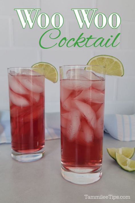 Woo Hoo Drink, Woo Woo Drink, Woo Woo Recipe, Washington Apple Drink, Cranberry Vodka Recipe, Woo Woo Cocktail, Peach Schnapps Drinks, Apple Juice Cocktail, Cocktail Punch