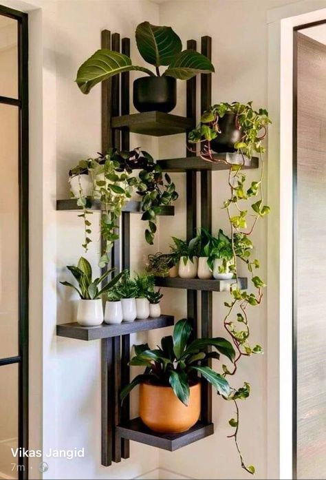 Living Room Plants Decor, Indoor Plant Wall, Plants Wall, Living Room Plants, Plant Decor Indoor, House Plants Decor, Apartment Decor Inspiration, Room With Plants, Plant Shelves