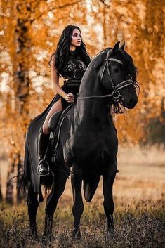 Black Horses, Cai Arabi, Woman Riding Horse, Horse Photography Poses, Foto Cowgirl, Cai Sălbatici, Rasy Koni, Beautiful Horse Pictures, Most Beautiful Horses