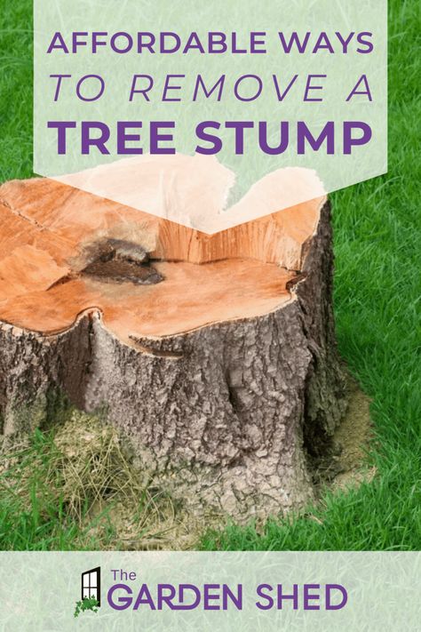 Affordable Ways to Remove a Tree Stump What To Do With Tree Stumps In Yard, Tree Root Removal, Tree Trunk Ideas, Tree Stump Killer, Kill Tree Stump, Stump Out, Log Carving, Tree Stumps Diy, Removing Tree Stumps