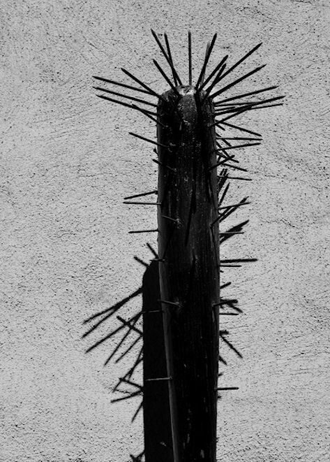 Bat Bat With Spikes, Spikes Aesthetic, Bat With Nails, Spiked Bat, Terry Richardson Photography, Bat Aesthetic, The Art Of Negotiation, Rusty Nails, Jagged Little Pill