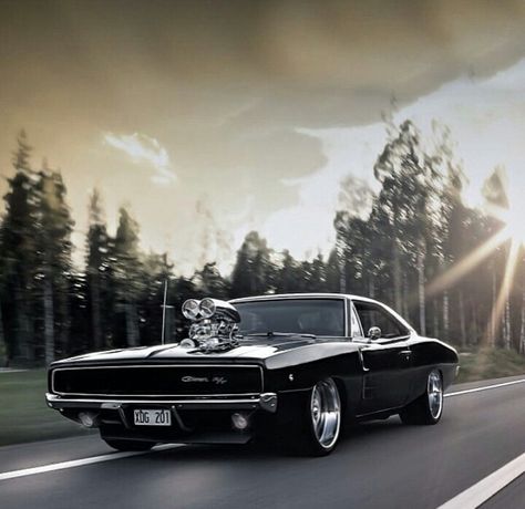 69 Dodge Charger, As american as they come. 1960 Dodge Charger, 1970 Dodge Charger Wallpaper, 1979 Dodge Charger, 1969 Charger, Dodge Charger 1970, Dodge Challenger 1970, 1969 Dodge Charger Daytona, 69 Dodge Charger, Dodge Charger Rt