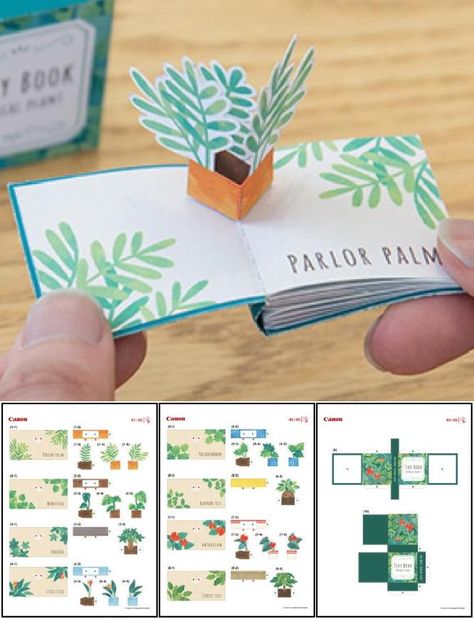 Paper Plants Diy Free Printable, Pop Up Book Tutorial, Diy Pop Up Book, Arte Pop Up, Pop Up Art, Paper Pop, Papercraft Printable, Seni Origami, Paper Printable