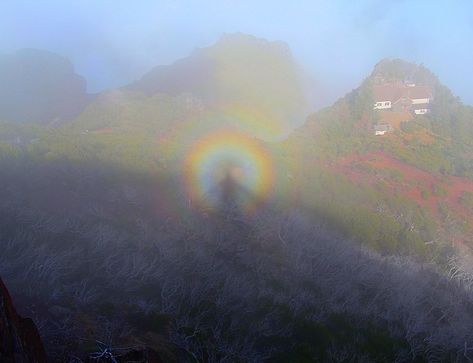 wikipictures on Instagram: “Glory (optical phenomenon) ty @languidd for putting me onto an optical deep dive (more of these posts to follow). go follow them, their…” Optical Phenomena, Diving, Documentaries, Natural Landmarks, Travel, Instagram