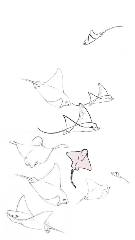 Stingray Tattoo Outline, Dainty Manta Ray Tattoo, Stingray Line Drawing, Sting Rays Drawing, 3 Stingray Tattoo, Stingray Lockscreen, Manta Rays Drawing, Stingray Hip Tattoo, Cute Manta Ray Drawing