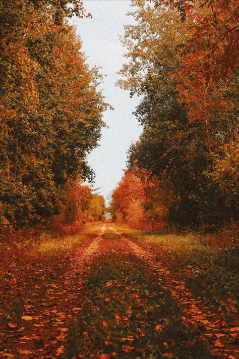 Fall Tumblr, Autumn Magic, H U, Halloween Aesthetic, Autumn Scenery, Fall Feels, September 21, Best Seasons, Fall Pictures