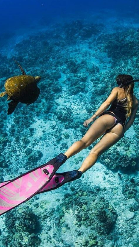 Gopro Surfing, Bawah Air, Underwater Pictures, Scuba Girl, Free Diving, Underwater Photos, Water Photography, Kitesurfing, Kite Surfing