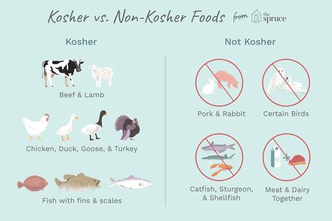 Illustration depicting kosher vs non kosher foods Kosher Food List, Matzah Ball Soup, Bible Food, Hippie Commune, Kosher Diet, Kosher Kitchen, Kosher Food, Manic Pixie, Kitchen Rules