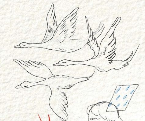 Bird Tattoo Placement Ideas, Two Geese Tattoo, Snow Goose Tattoo, Simple Goose Drawing, Flying Geese Tattoo, Wild Goose Tattoo, Flying Goose Tattoo, Wild Geese Mary Oliver Tattoo, Goose Drawing Simple