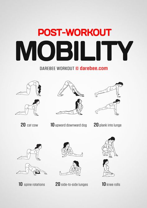 Mobility Workout, Quick Workout Routine, Workout Without Gym, Gym Routine, Body Workout Plan, Home Workouts, At Home Workout Plan, Free Workouts, Gym Workout Tips