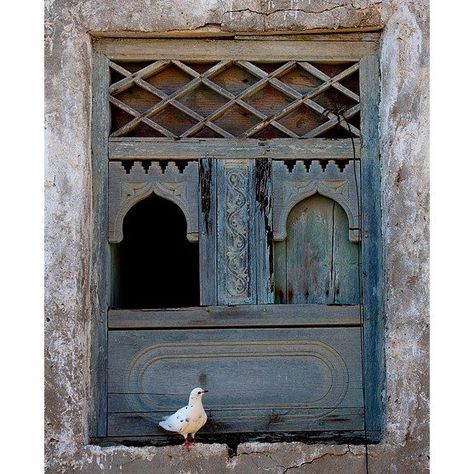 An Open Window, Camo Wallpaper, الفن الرقمي, Eric Lafforgue, World Birds, Beautiful Windows, Wooden Windows, Old Windows, Window View