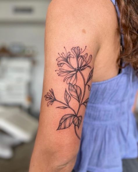 Honeysuckle Tattoo Design, Rose And Honeysuckle Tattoo, Sleeve Tattoo Black Women, Female Sleeve Tattoo Black Women, Tattoo Black Women, Female Sleeve Tattoo, 25 Tattoo, Honeysuckle Tattoo, Plant Tattoos