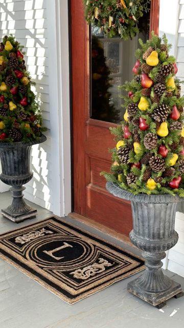 Outdoor Christmas Topiaries, Fruit Topiary, Christmas Topiary Outdoor, Christmas Topiary, Xmas Diy, Outdoor Christmas, Flower Pots, Holiday Crafts, Christmas Decorations