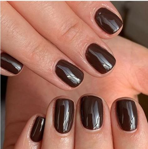 Short Squoval Acrylic Nails, Short Dark Nails, Uñas Color Cafe, 90s Autumn, Dnd Gel Polish, Short Gel Nails, Gel Nail Colors, Short Acrylic, Dark Chocolate Brown