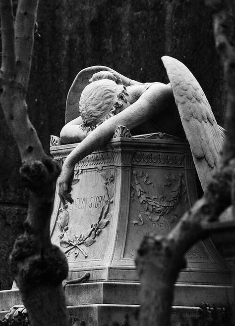 Angel statue with her head down Istoria Artei, Cemetery Art, Tapeta Galaxie, Slytherin Aesthetic, Art Classique, Animale Rare, Angel Statues, Arte Obscura, Dark Academia Aesthetic