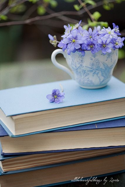 Explore loretoidas' photos on Flickr. loretoidas has uploaded 15017 photos to Flickr. Flowers In A Teacup, First Flowers Of Spring, Book Flowers, Cottage In The Woods, Blue Books, Shabby Vintage, Stack Of Books, I Love Books, Anemone