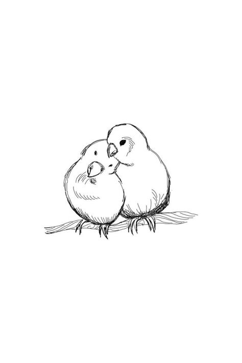 Hand drawn two lovebird parrots outline sketch. Vector bird black ink drawing isolated on white background. Graphic animal illustration. Animal Love Sketch, 3 Birds Drawing, Birds In Love Drawing, Two Birds On A Wire Drawing, Love Bird Illustration, Love Birds Drawing Simple, 2 Birds Drawing, Two Birds Drawing, Animals In Love Drawing