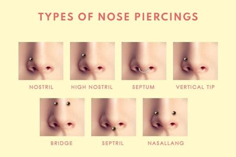 Can a Lawyer Have a Nose Piercing? A lot of people are wondering can a lawyer have a nose piercing. The answer is yes, they can! Lawyers are just like any other professionals when it comes to piercings. Types Of Nose Piercings, Types Of Nose, Nasallang Piercing, High Nostril Piercing, Different Types Of Piercings, Upper Lip Piercing, Bridge Piercing, Surface Piercing, Face Piercings