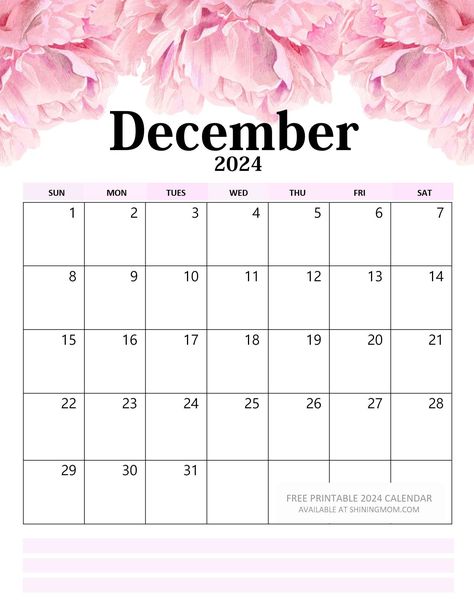 Your Free 2024 Floral Calendar Printable is Here! 2024 Calendar Printable Free Yearly, December 2024 Calendar, December Calendar 2024, 2024 Calendar Printable Free, Maket Pasta, Free Planner Pages, 2024 Calendar Printable, Classroom Arrangement, Free Printable Calendar Templates