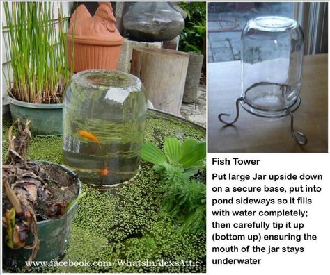 Fish pond idea Fish Tower, Boat Planter, Outdoor Fish Ponds, Kolam Koi, Taman Air, Goldfish Pond, Garden Pond Design, Outdoor Ponds, Pond Fish