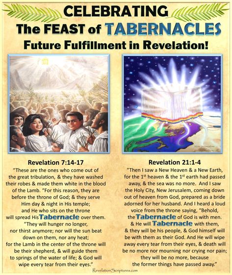 Feasts Of The Lord, Revelation 7, Messianic Judaism, Feast Of Tabernacles, The Book Of Revelation, Pictures Of Christ, The Tabernacle, Sukkot, Bible Study Journal