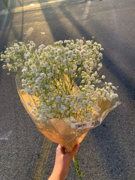 Boquette Flowers, Baby Breath, Baby S Breath, Nothing But Flowers, Flower Therapy, Beautiful Bouquet Of Flowers, Bouquet Of Flowers, Every Thing, Beautiful Bouquet